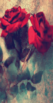 Psdheart18