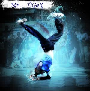 ������ ������� mr tiger